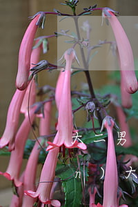 大二男生欠網(wǎng)貸16萬(wàn)(大學(xué)生欠兩萬(wàn)嚴(yán)重嗎)