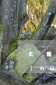 大亞集團(tuán)2000萬逾期連環(huán)索引-大亞集團(tuán)2000萬逾期連環(huán)索引是真的嗎
