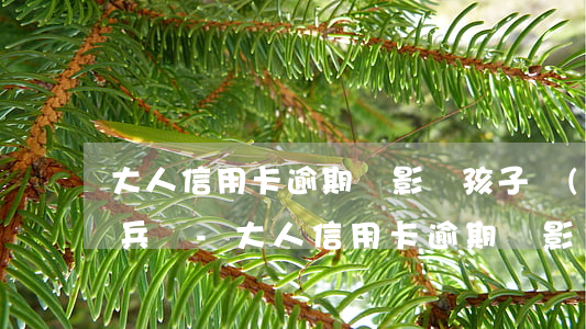 大人信用卡逾期會影響孩子當(dāng)兵嗎-大人信用卡逾期會影響孩子當(dāng)兵嗎知乎