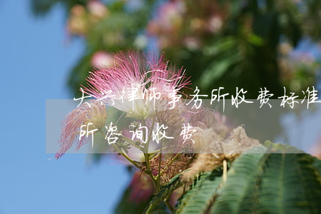 大兴律师事务所收费标准(北京大兴律师事务所咨询收费)
