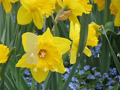 大冶農(nóng)村商業(yè)銀行信用卡逾期