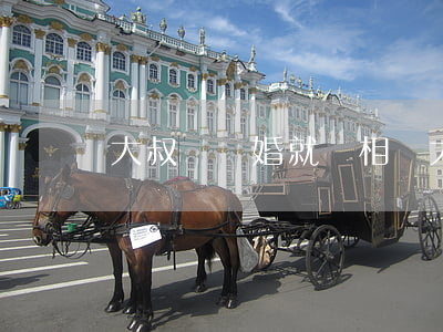 大叔剛離婚就來相親(大叔剛離婚就來相親)