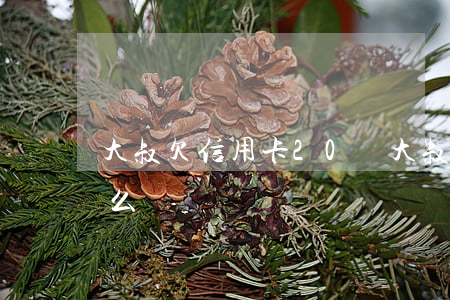 大叔欠信用卡20萬(大叔欠信用卡20萬怎么辦)