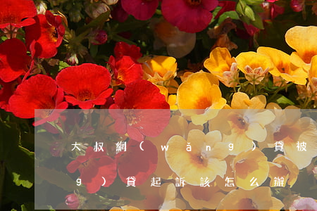 大叔網(wǎng)貸被起訴(被網(wǎng)貸起訴該怎么辦)