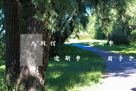 大同代辦個稅逾期申報費用多少-大同代辦個稅逾期申報費用多少錢