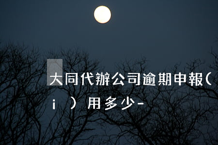 大同代辦公司逾期申報(bào)費(fèi)用多少-