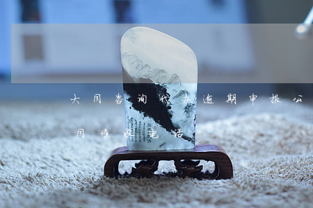 大同咨询代办逾期申报公司哪家好-山西大同催收电话