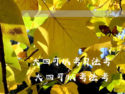 大四可以考司法考試嗎(法學(xué)本科大四可以考法考嗎)