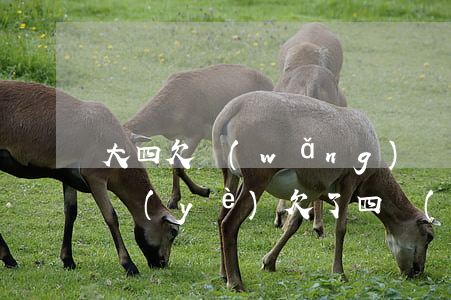 大四欠網(wǎng)貸(大學(xué)畢業(yè)欠了四萬(wàn)網(wǎng)貸怎么辦)