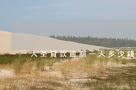 大圣貸款逾期一天多少錢