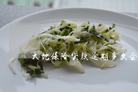 大地保险贷款逾期多久会起诉