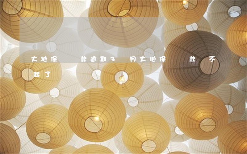 大地保險貸款逾期3個月(大地保險貸款還不起了)