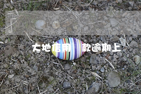 大地信用貸款逾期上門