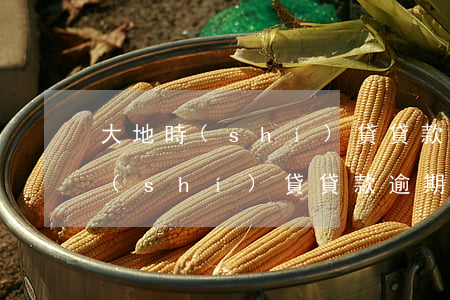 大地時(shí)貸貸款逾期一年了(大地時(shí)貸貸款逾期起訴)
