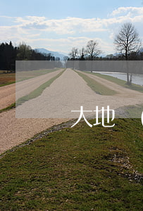 大地時(shí)貸逾期法院案例