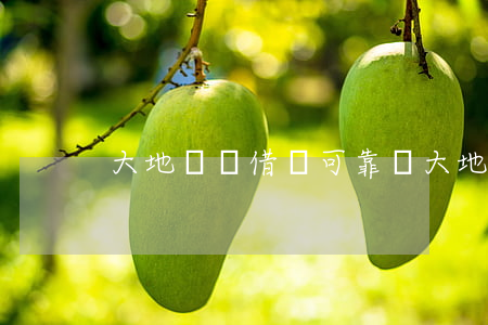 大地時貸借錢可靠嗎(大地時貸合法嗎)