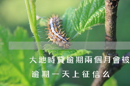 大地時貸逾期兩個月會被起訴么-大地貸款逾期一天上征信么
