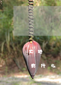 大地時貸逾期未還款(大地時貸貸款還不起會有什么后果)