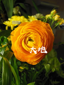 大地時貸配偶信用卡逾期