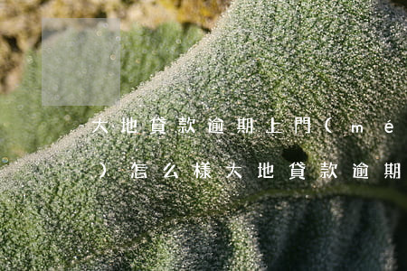 大地貸款逾期上門(mén)嗎會(huì)怎么樣（大地貸款逾期上門(mén)嗎）