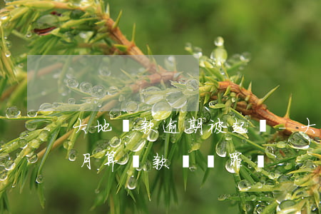 大地貸款逾期被起訴-大地貸款逾期一個多月算貸款詐騙罪嗎