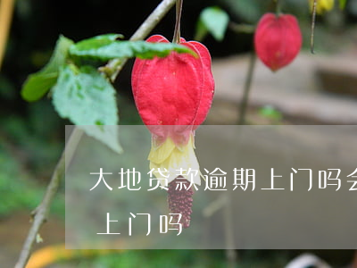 大地贷款逾期上门吗会怎么样（大地贷款逾期上门吗）
