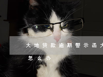 大地贷款逾期警示函(大地贷款逾期终止合同怎么办)