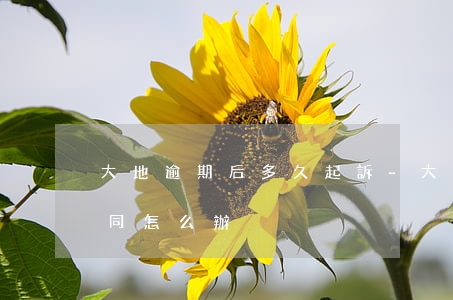 大地逾期后多久起訴-大地貸款逾期終止合同怎么辦
