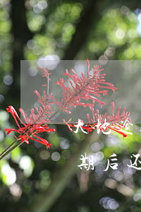 大地逾期后还能办理个人意外险吗-大地逾期后还能办理个人意外险吗怎么办