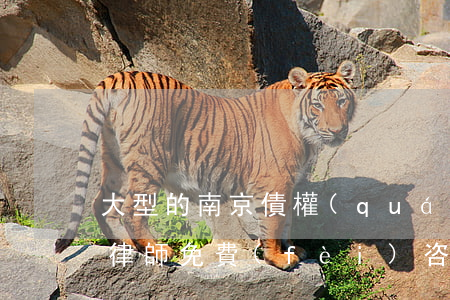 大型的南京債權(quán)債務(wù)律師免費(fèi)咨詢
