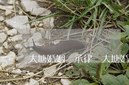 大塘婚姻繼承律師(大塘婚姻繼承律師)