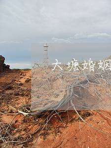 大塘婚姻继承律师(大塘婚姻继承律师)