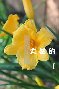大姑的遺產(chǎn)可以繼承嗎(姑姑的遺產(chǎn))