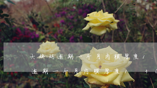 大姨妈逾期一个月内膜厚度1.3-大姨妈逾期一个月内膜厚度1.3正常吗
