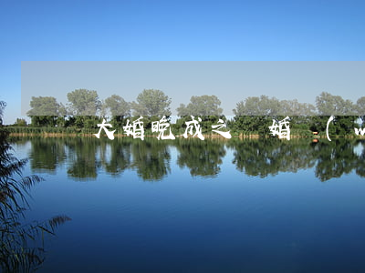 大婚晚成之離婚無(wú)效