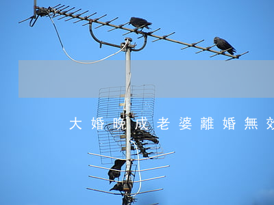大婚晚成老婆離婚無效免費閱讀