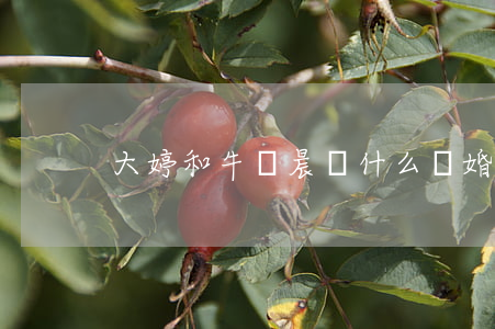 大婷和牛曉晨為什么離婚