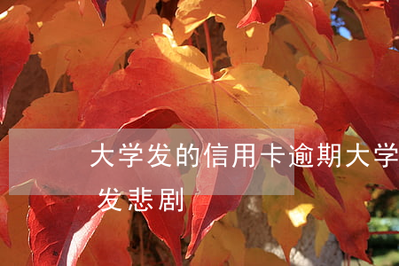 大学发的信用卡逾期(大学生信用卡还不上引发悲剧)