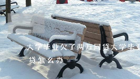 大学毕业欠了两万网贷(大学毕业欠了四万网贷怎么办)