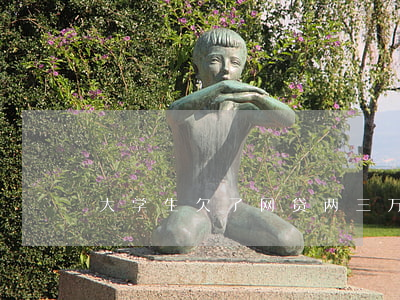 大学生欠了网贷两三万(大学生网贷欠了3万)