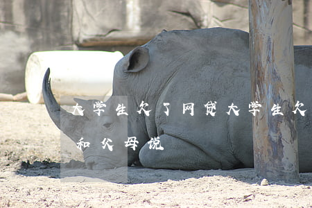 大学生欠了网贷(大学生欠了网贷一万四怎么和父母说)