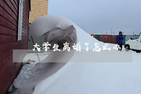 大学生离婚了怎么办