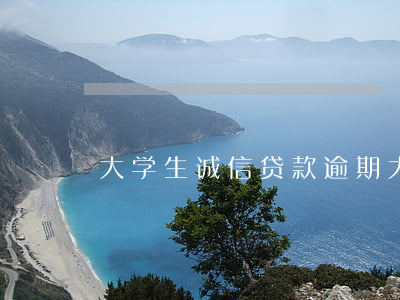 大学生诚信贷款逾期(大学生信用贷款)