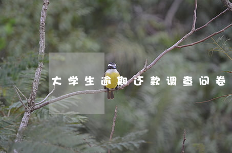 大学生逾期还款调查问卷