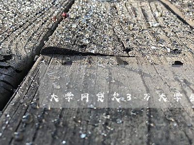 大学网贷欠3万(大学生网贷欠了3万)