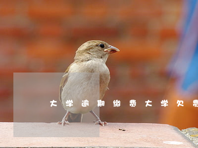 大学逾期缴费 大学欠费可以晚交吗