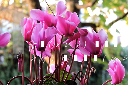 大學(xué)剛畢業(yè)欠網(wǎng)貸(剛畢業(yè)欠了2萬網(wǎng)貸)