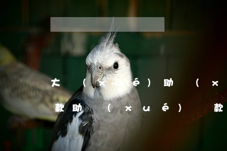 大學(xué)助學(xué)貸款逾期還款(助學(xué)貸款逾期如何還款)
