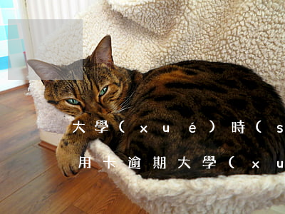 大學(xué)時(shí)不知道辦了信用卡逾期(大學(xué)沒(méi)申請(qǐng)卻收到了信用卡)