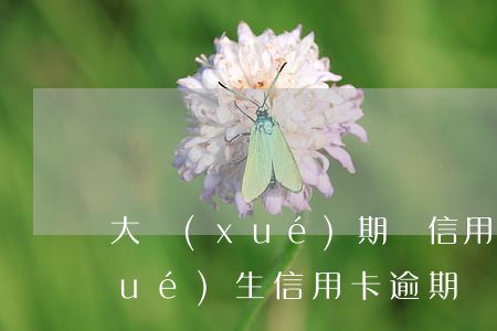 大學(xué)期間信用卡逾期了(大學(xué)生信用卡逾期)
